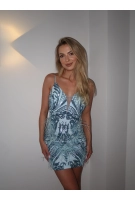 Pusia niebieska Pusia niebieska