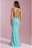 Nivalis aqua
