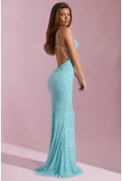 Nivalis aqua
