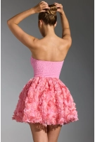 Evanthe pink Evanthe pink